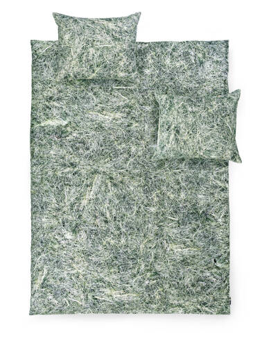 HAY - bedding