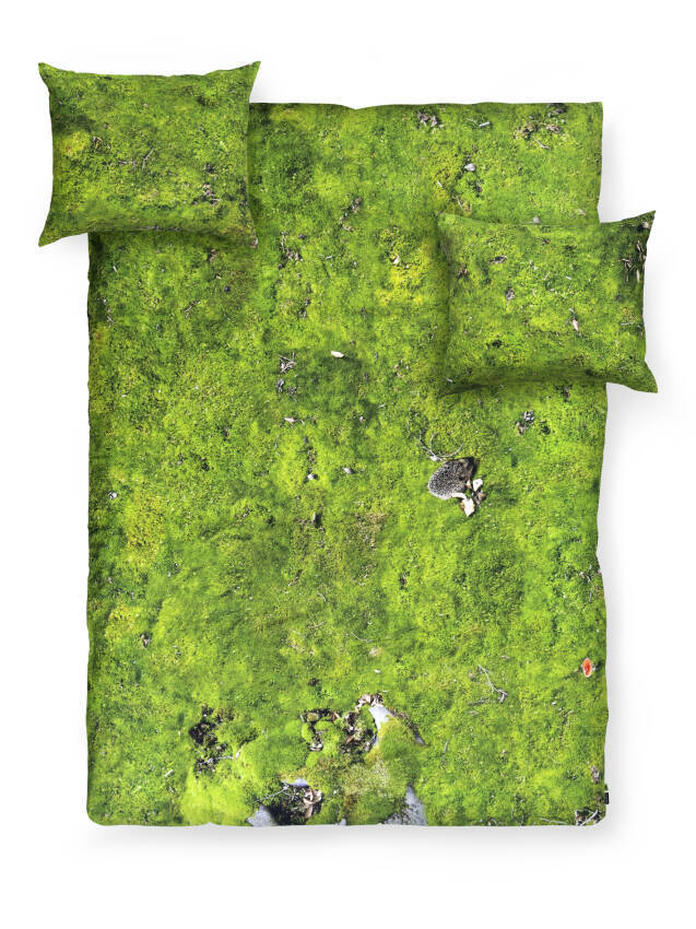 Moss Bed Sheets